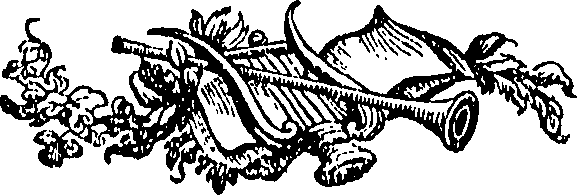 095/095100050000470_0.png