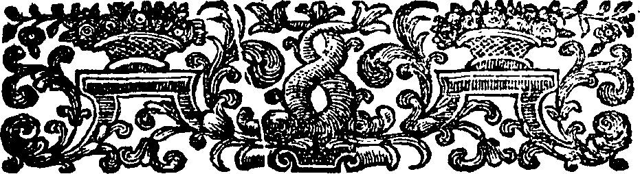095/095110060100110_1.png