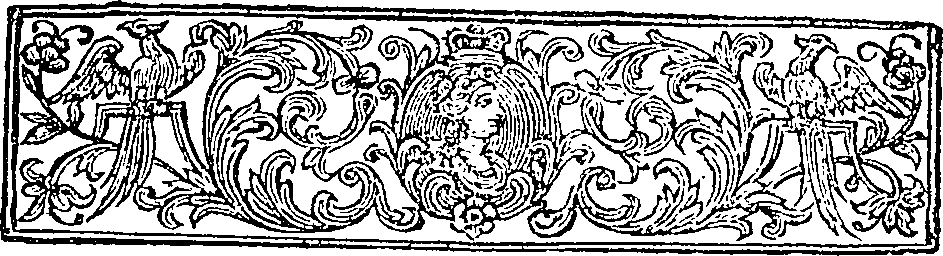 095/095120060000340_1.png