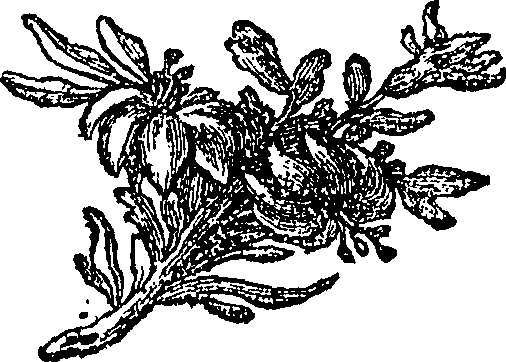 095/095150070100150_0.png