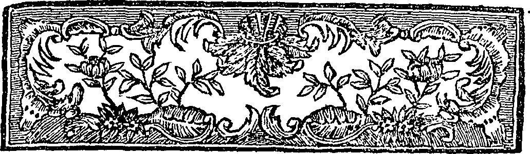 095/095150070101550_0.png