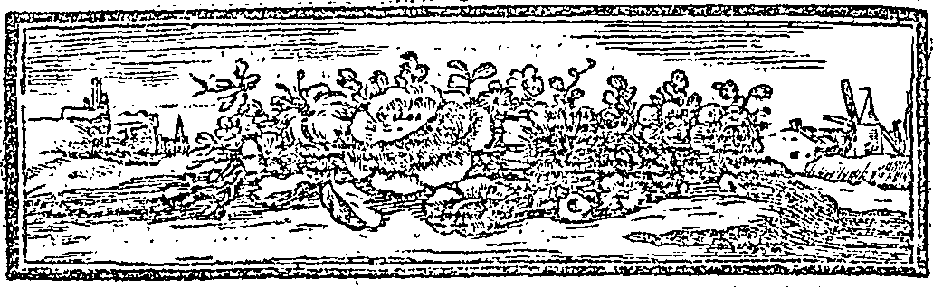 095/095150070101810_1.png