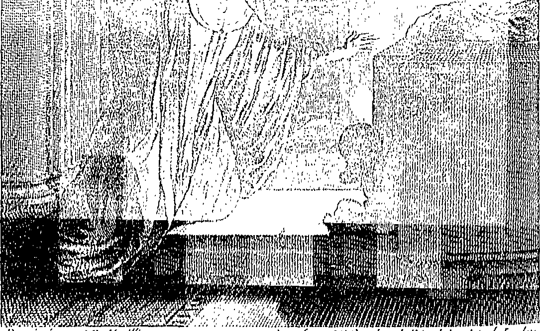 095/095150070202790_0.png