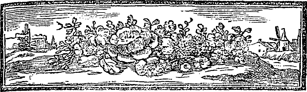 095/095150070202890_0.png
