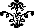 095/095150070203620_0.png