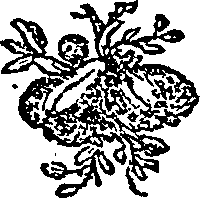 095/095160010300020_1.png
