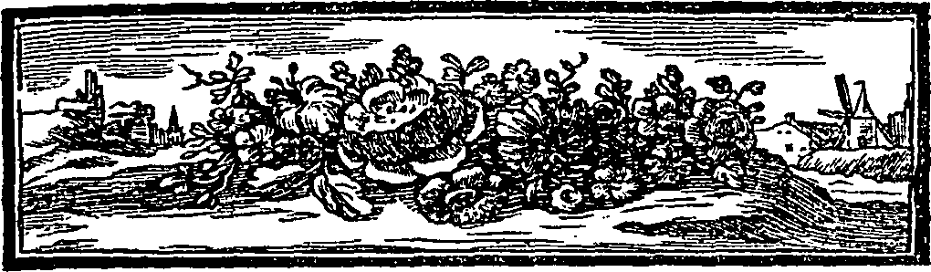095/095160010302720_0.png