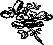 095/095160010500170_0.png
