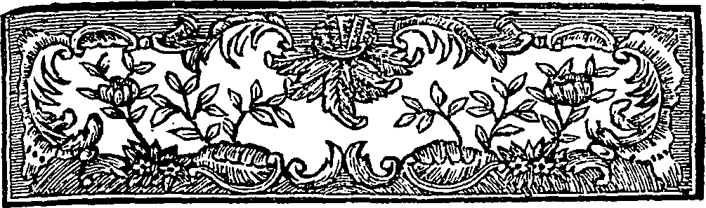095/095160010502740_0.png