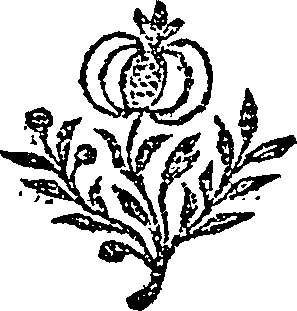 095/095160010602720_0.png