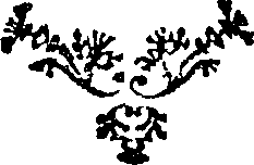 095/095170010703520_0.png