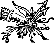 095/095170010800020_1.png