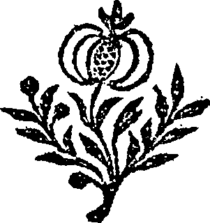 095/095170010800960_0.png