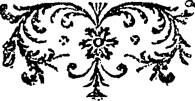 095/095170010801980_0.png