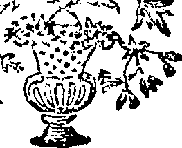 095/095170010803640_0.png