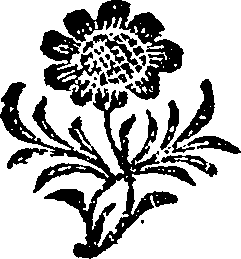 095/095170010804940_0.png