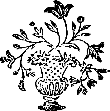095/095170010804990_0.png