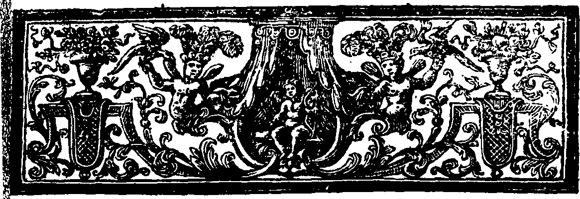 095/095190010000250_2.png
