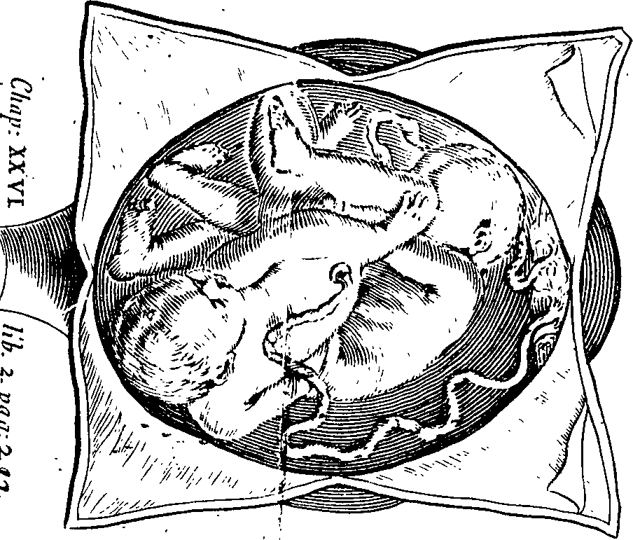 095/095200010002020_1.png