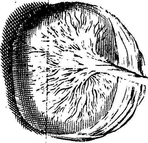 095/095200010003870_1.png