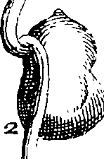 095/095290030203610_2.png