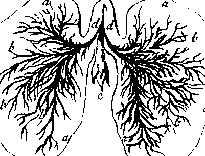 095/095290030203610_3.png
