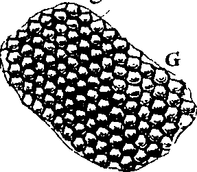 095/095290030203610_4.png