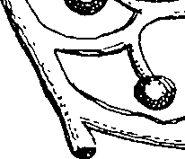 095/095290030203880_0.png