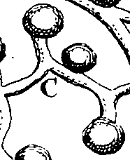 095/095290030203880_1.png