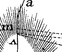 095/095290040301260_1.png