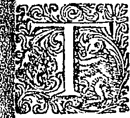 095/095300010100310_0.png