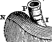 095/095300010101370_0.png