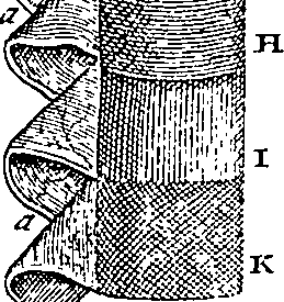 095/095300010101370_1.png