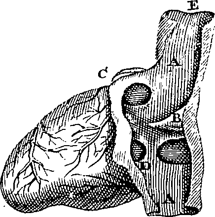 095/095300010101740_1.png