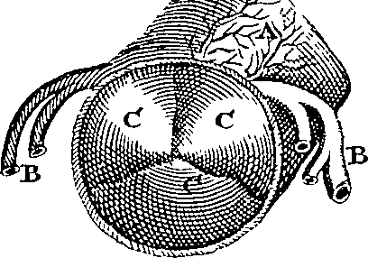 095/095300010101740_2.png