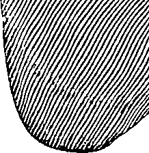 095/095300010101740_3.png