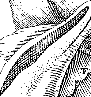 095/095300010101740_6.png