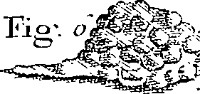 095/095300010103090_0.png