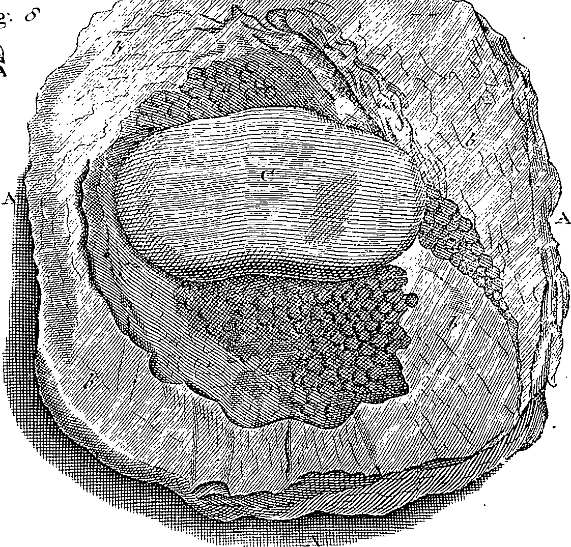 095/095300010103090_1.png