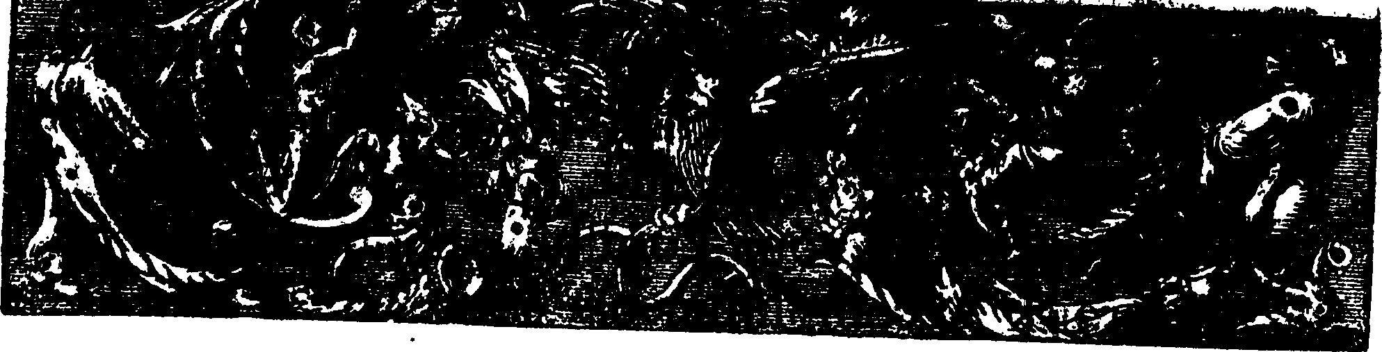 095/095320010000030_2.png