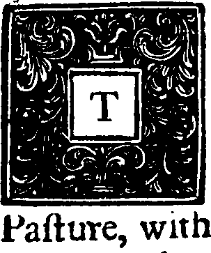 095/095320010001940_1.png