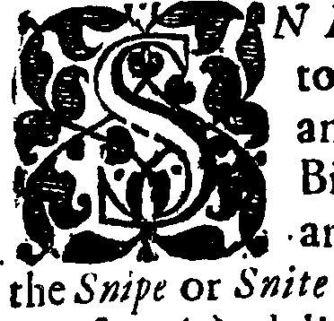 095/095320010002580_3.png