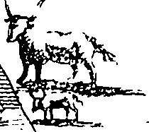 095/095340040101440_2.png