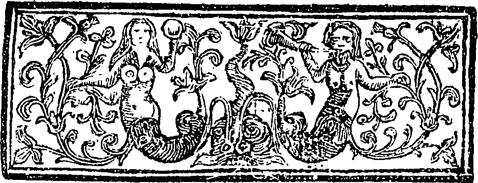 095/095360040000120_1.png