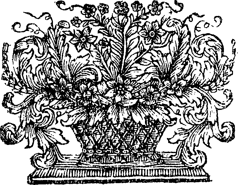 095/095360040000660_1.png