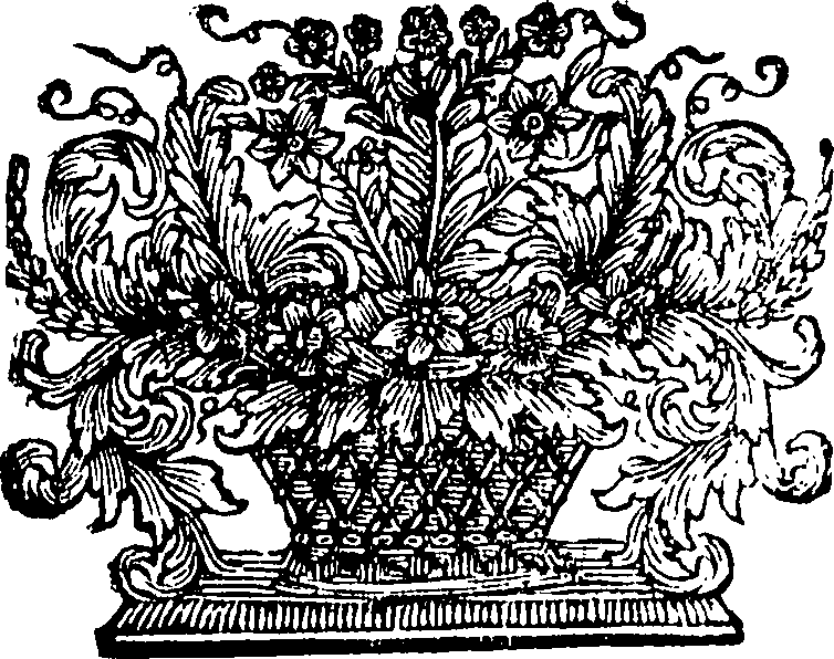 095/095360040000940_1.png