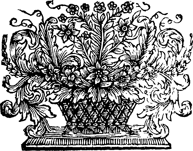 095/095360040001300_1.png
