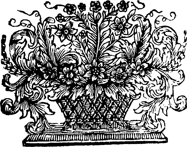 095/095360040001480_1.png