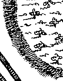 095/095370020004040_0.png