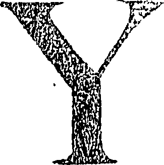 095/095370120000010_0.png